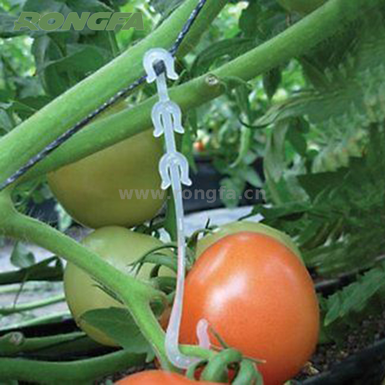 园艺塑料番茄钩